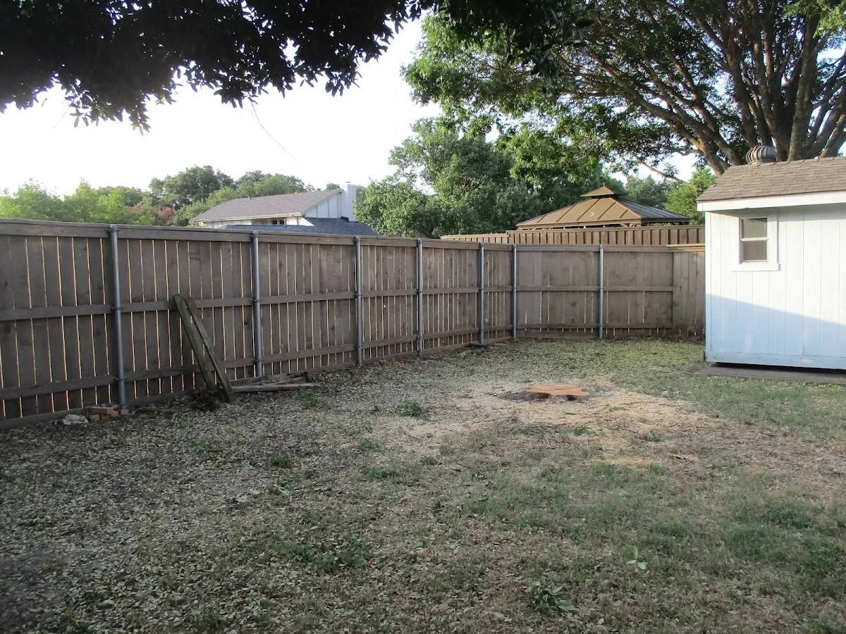 Cleared yard after professional tree removal in Newport