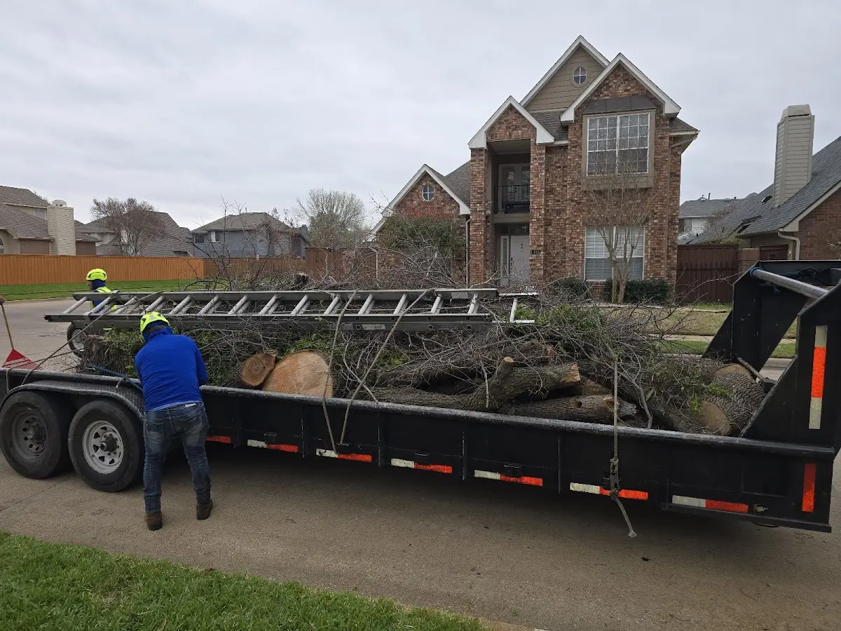 Expert Lot Clearing with proper safety equipment in Newport
